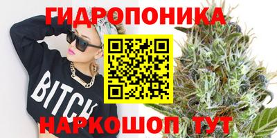 spice Анапа